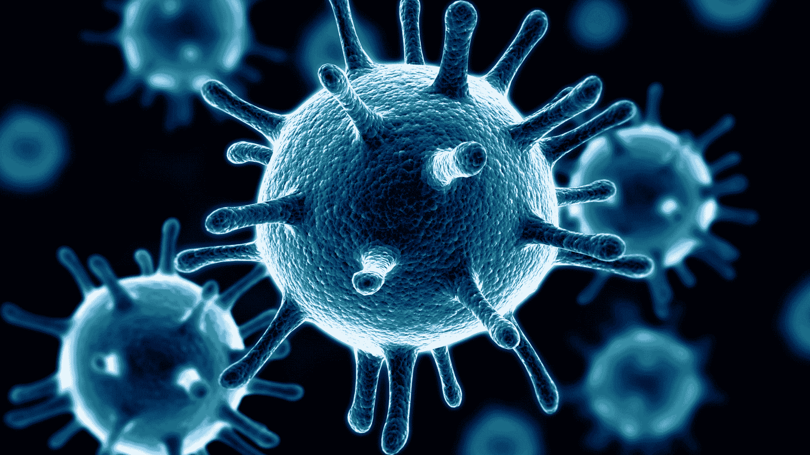 Epstein-Barr Virus (EBV): From Mono   to Treatment Options