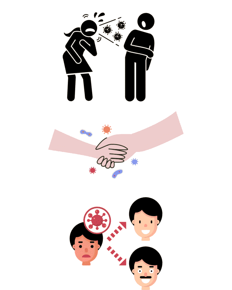 EBV infection spreads through: Saliva (kissing, sharing utensils or drinks)